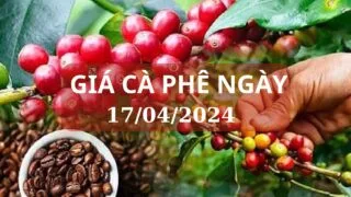 gia ca phe ngay 17 04 2024