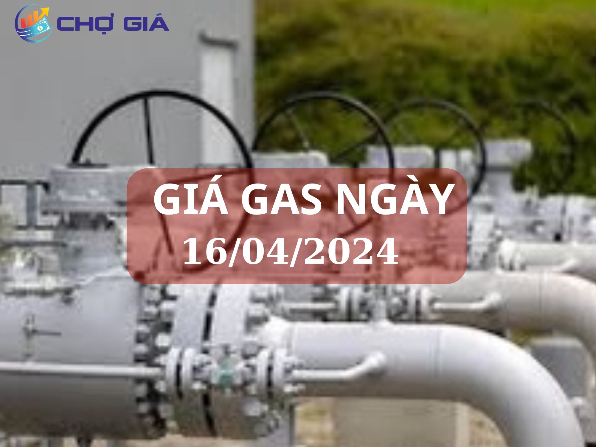 gia gas nagy 16 04 2024