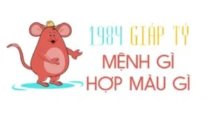 giap ty 1984 hop mau gi