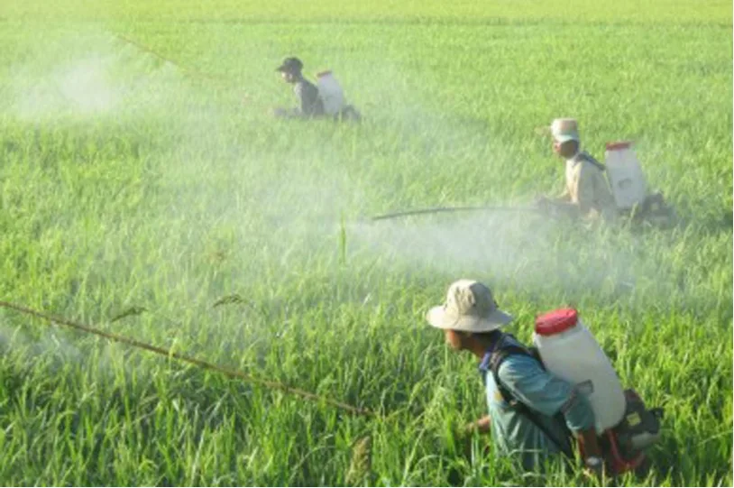 Cách sử dụng thuốc bảo vệ thực vật an toàn & hiệu quả %nam% 1 loi ich cua thuoc bao ve thuc vat