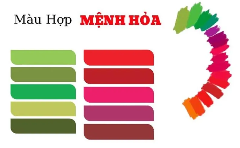 mau hop menh hoa