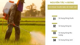 nguyen tac su dung thuoc bvtv