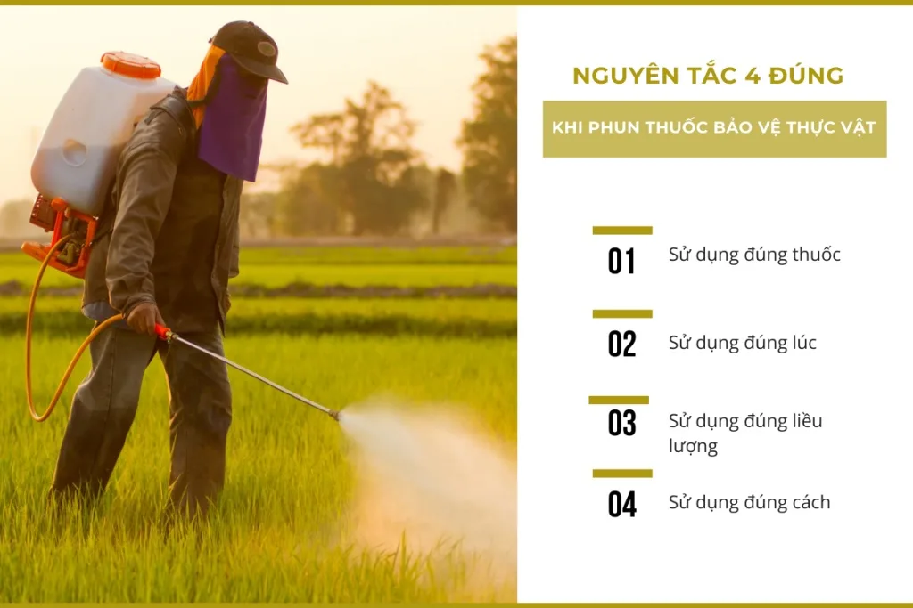 Cách sử dụng thuốc bảo vệ thực vật an toàn & hiệu quả %nam% 3 nguyen tac su dung thuoc bvtv