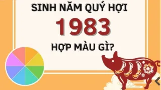 quy hoi 1983 hop mau gi