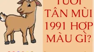 tan mui 1991 hop mau gi