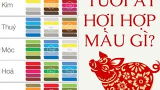 tuoi at hoi hop mau gi