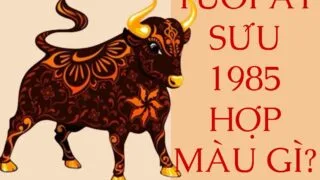 tuoi at suu 1985 hop mau gi