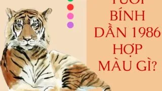 tuoi binh dan 1986 hop mau gi