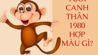 tuoi canh than 1980 hop mau gi