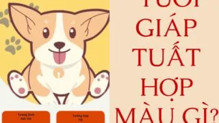tuoi giap tuat hop mau gi