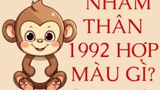 tuoi nham than hop mau gi