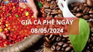 gia ca phe ngay 08 05 2024