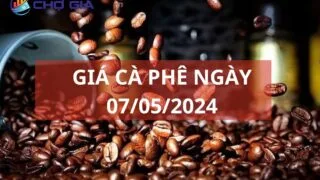 gia cafe 07 05 2024