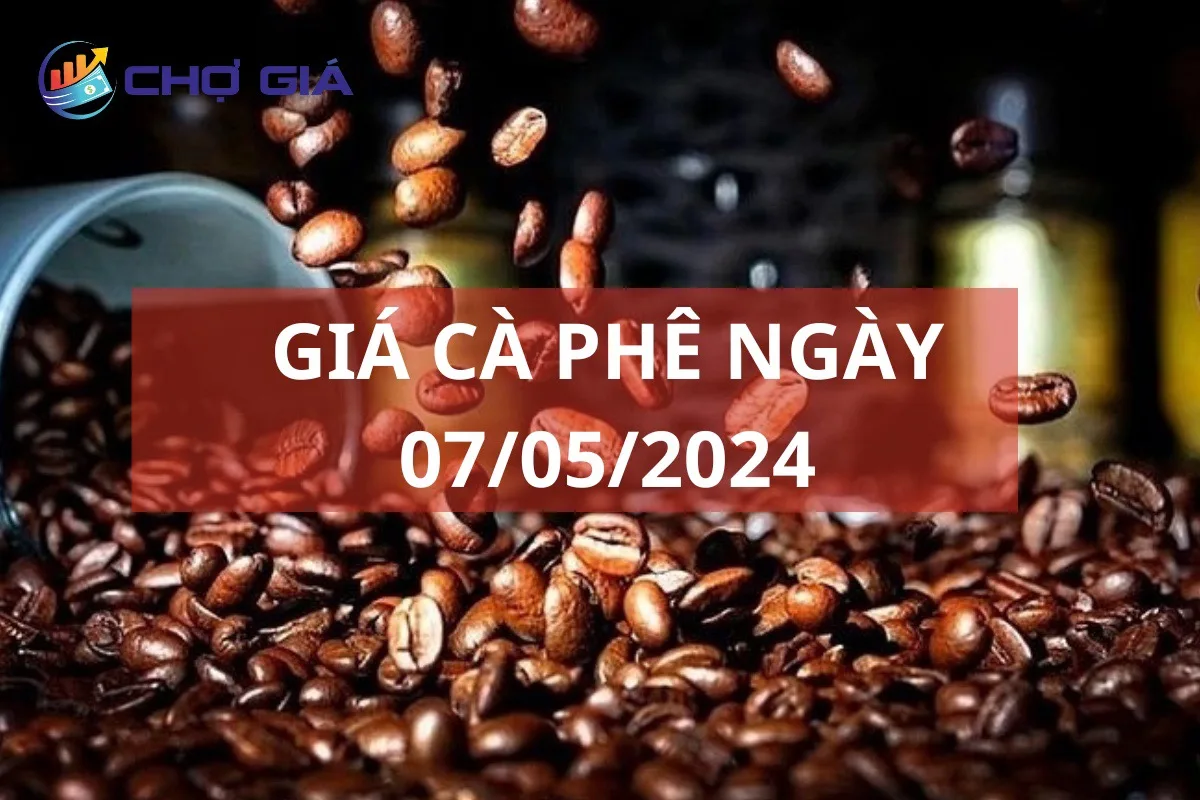 Giá cà phê 07/05 rơi tự do, mất mốc 100.000 đồng/kg 1 gia cafe 07 05 2024