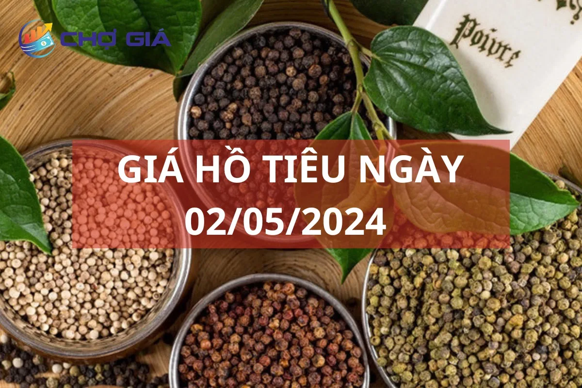 Giá tiêu ngày 02/05: Ghi nhận đà tăng 4 tháng liên tiếp 1 gia ho tieu ngay 02 05 2024
