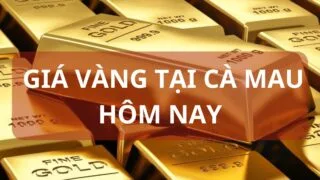 gia vang tai ca mau hom nay