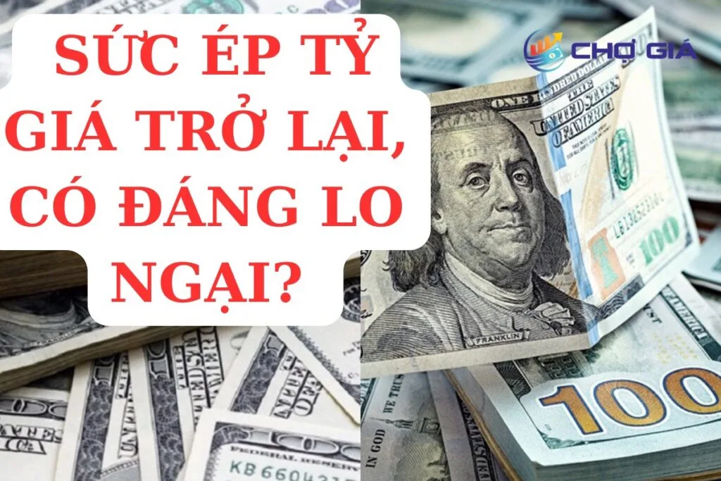 Tỷ giá là gì và liệu có đáng lo trong năm nay? 1 suc ep ty gia