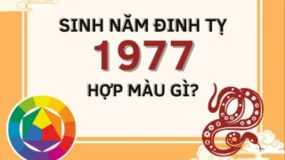 tuoi dinh ty 1977 hop mau gi