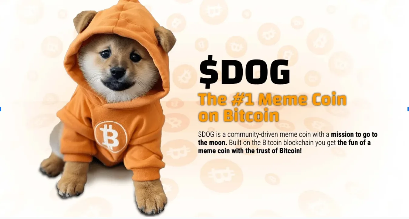5 meme coin mới đáng chú ý trong tuần này 6 doggotothemoon