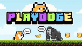 play doge