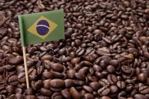san luong ca phe brazil