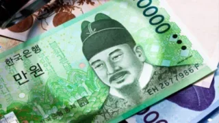 dong won suy yeu dau nam 2024