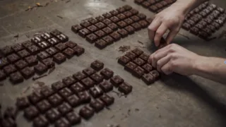 gia bot ca cao