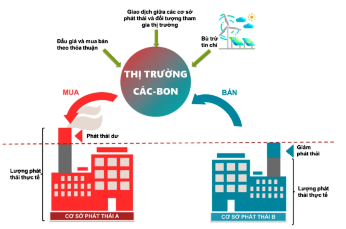Tín chỉ carbon là gì? Cơ hội & thách thức trên thị trường Việt Nam 4 giai phap phat trien thi truong tin chi carbon