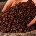 gia ca phe arabica hom nay giam manh