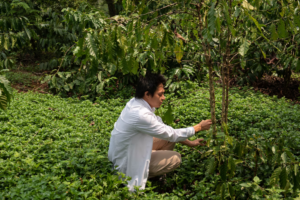 caphe chong bien doi khi hau