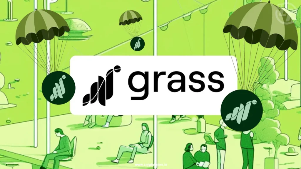 Grass là gì? Cách đào Grasss