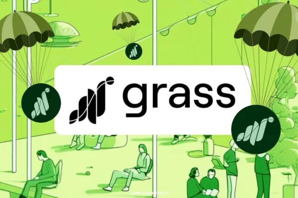 Grass là gì? Cách đào Grasss