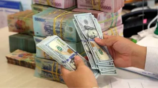 tien viet nam giam khi do my tang manh