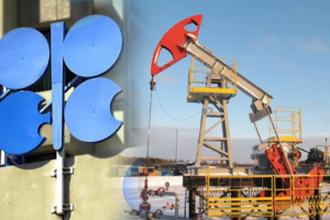 opec co the gia han cat giam san luong