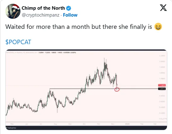 Giá Popcat Tăng 7%, Mog Giảm 4% – Có Nên Mua Meme Coin Mèo 2025? 2 unnamed 5