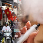 viet nam cam thuoc la dien tu