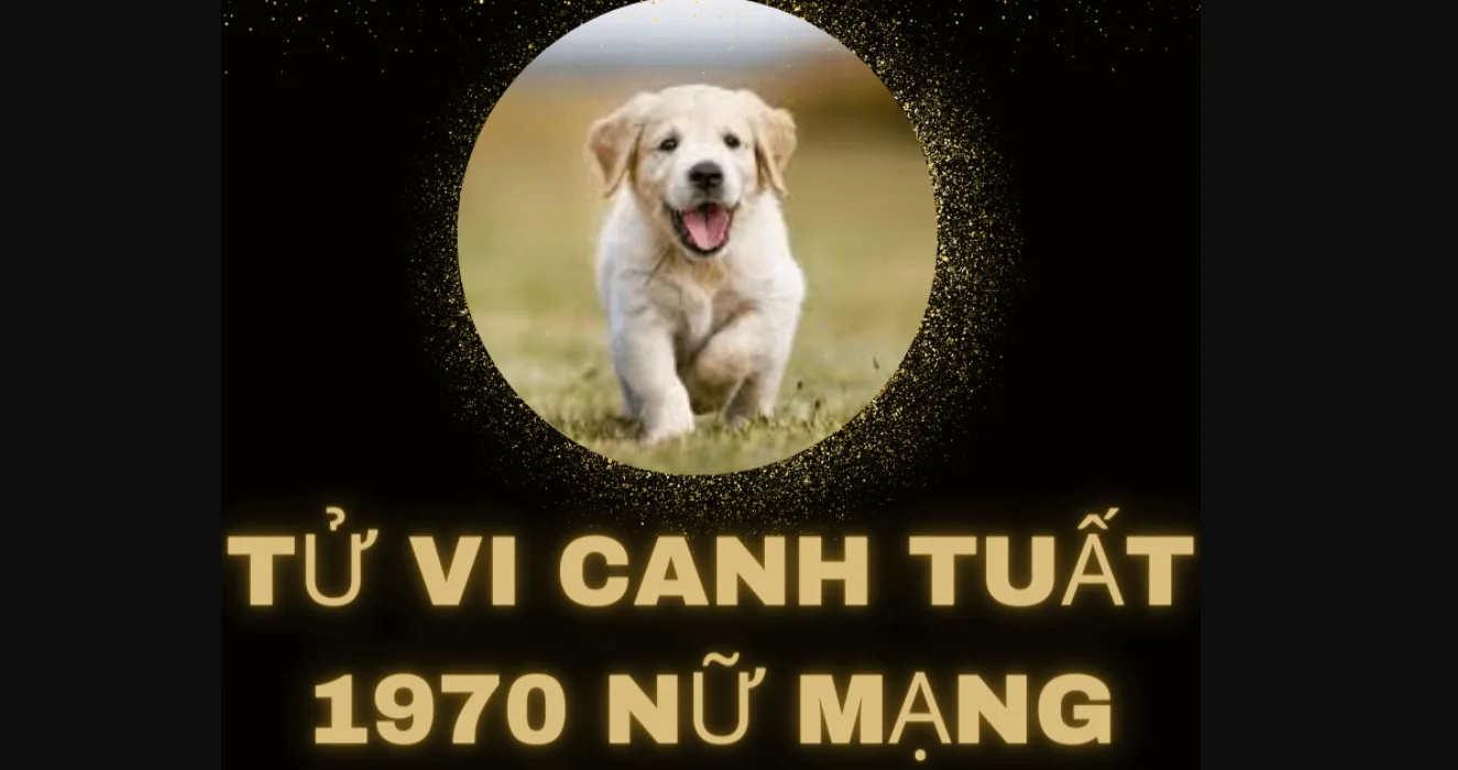 Tử vi tuổi Canh Tuất 1970 năm 2025: Nam & nữ mạng chi tiết 3 tu vi canh tuat nu mang