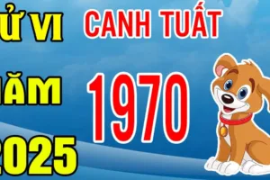 tu vi tuoi canh tuat 1970 nam 2025