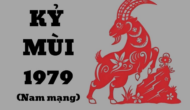 tu vi tuoi ky mui 1979 nam 2025 nam mang