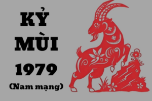 tu vi tuoi ky mui 1979 nam 2025 nam mang