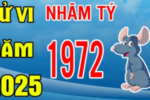 tu vi tuoi nham ty 1972 nam 2025