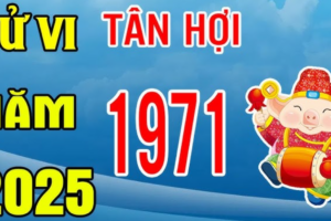 tu vi tuoi tan hoi 1971 nam 2025