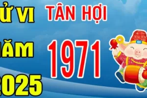 tu vi tuoi tan hoi 1971 nam 2025