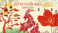 tu vi tuoi tan mui 1991 nam 2025