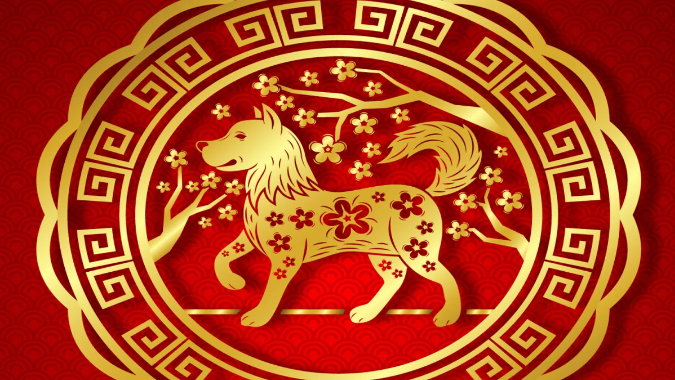 Tử vi tuổi Canh Tuất 1970 năm 2025: Nam & nữ mạng chi tiết 1 tuoi canh tuat 1970