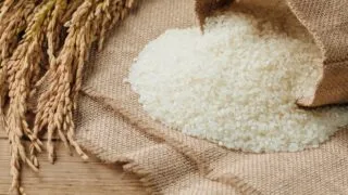 Gạo trắng hạt dài đổ ra từ bao đay cùng bông lúa chín — minh hoạ bảng giá gạo hôm nay trên Chợ Giá