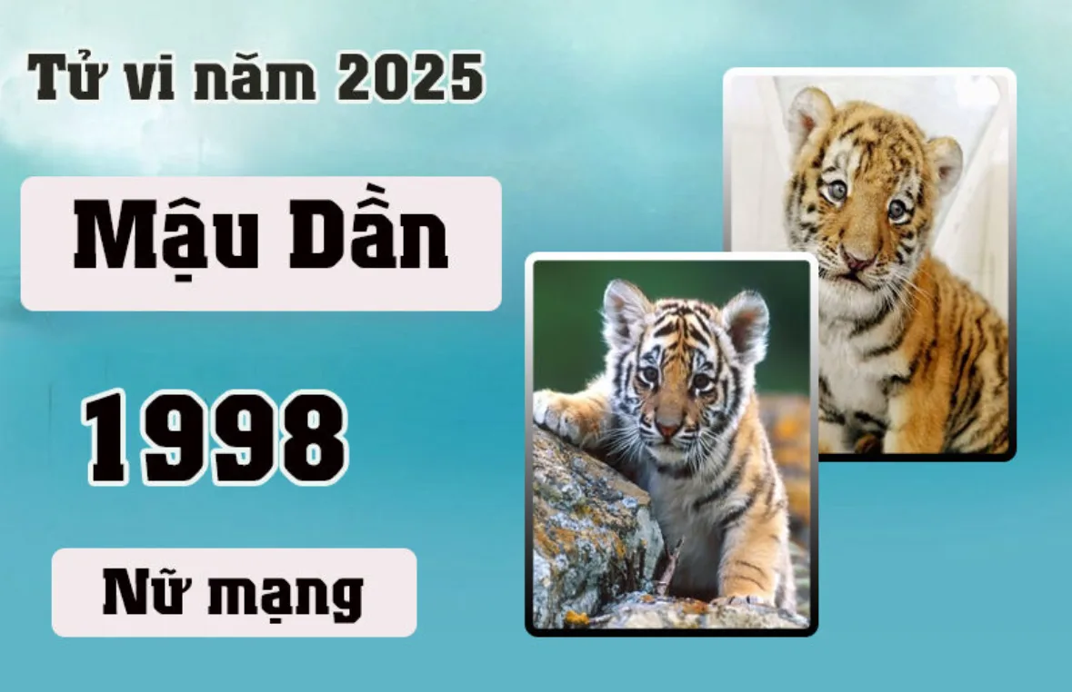 tu vi mau dan nu mang 1998