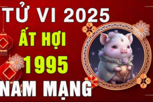 tu vi tuoi at hoi 1995 nam 2025 nam mang