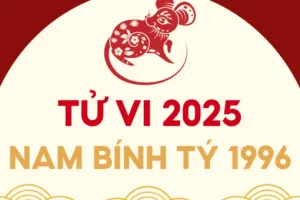 tu vi tuoi binh ty 1996 nam 2025 nam mang