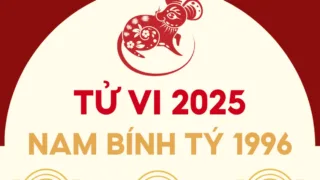 tu vi tuoi binh ty 1996 nam 2025 nam mang